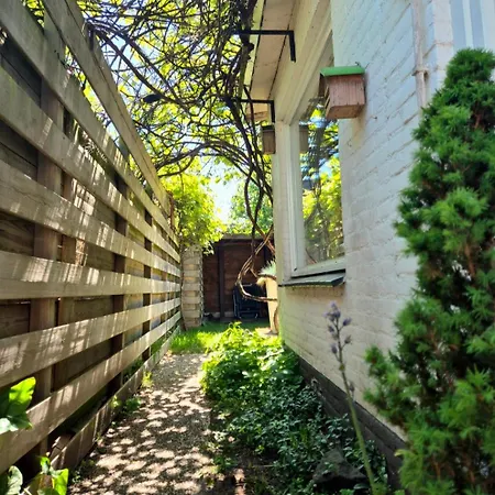 Texel Near And Centre * De Koog (Texel)