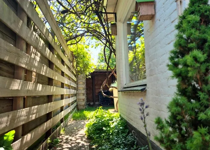 Texel Near And Centre * דה קוח