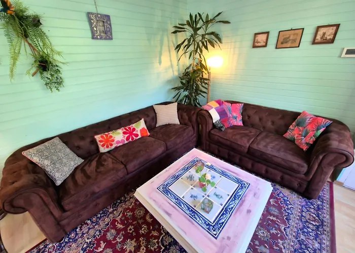 Texel Near And Centre בית נופש דה קוח